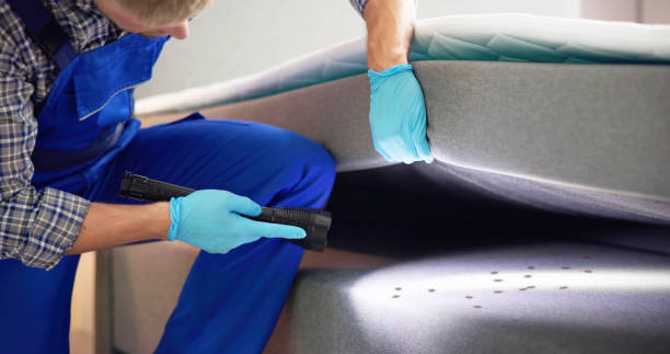 Best Wasp Removal Services  in Fetters Hot Springs Agua Liente, CA