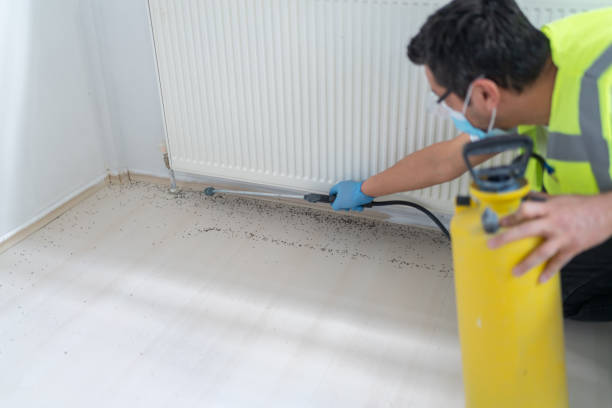 Best Local Pest Control Services  in Fetters Hot Springs Agua Liente, CA
