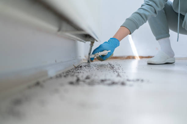 Best Pest Inspection Near Me  in Fetters Hot Springs Agua Liente, CA